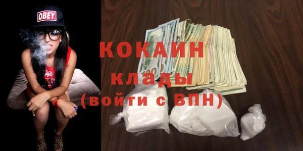 трава Аркадак
