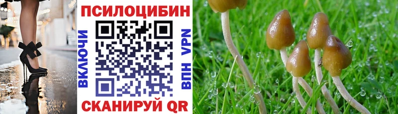 Галлюциногенные грибы ЛСД Сысерть