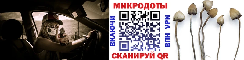 Псилоцибиновые грибы Magic Shrooms  Сысерть 